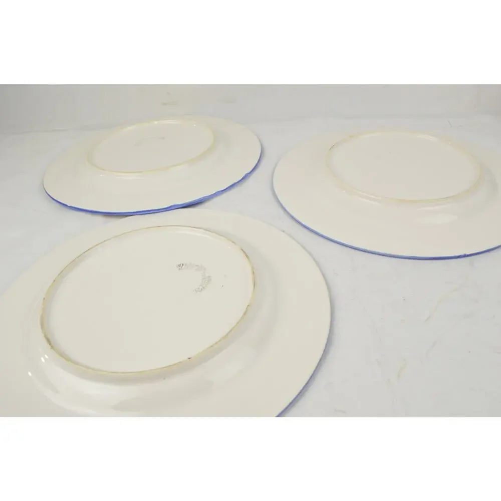 Williams Sonoma set 10